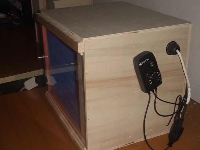 Costruiamo una camera calda - Freeforumzone