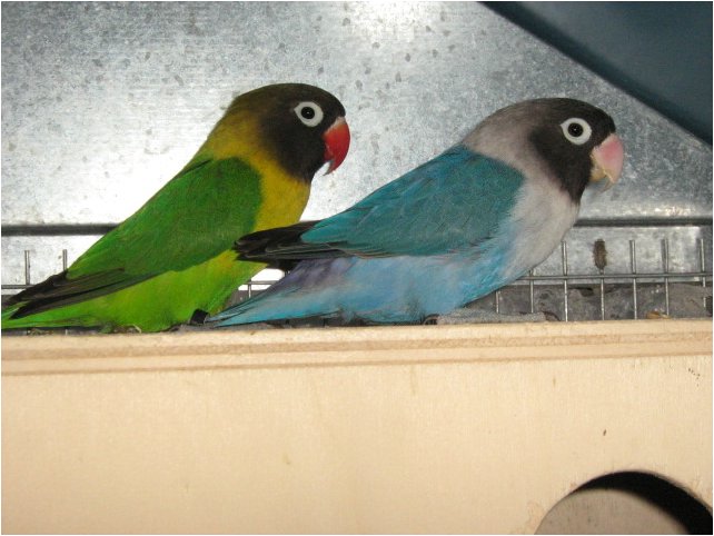 foto06.jpg