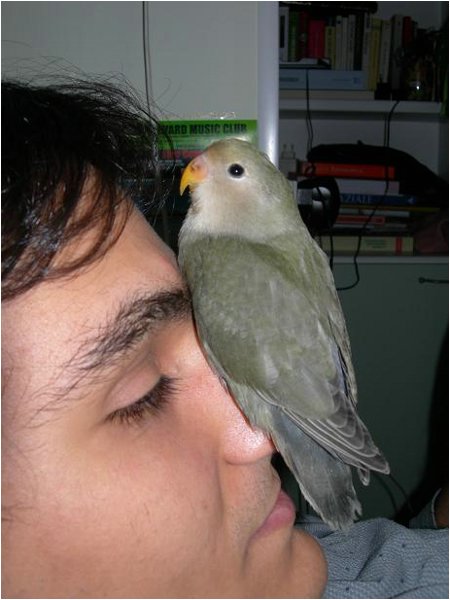 foto09.jpg