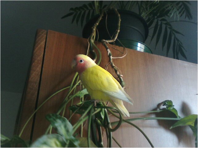 foto10.jpg