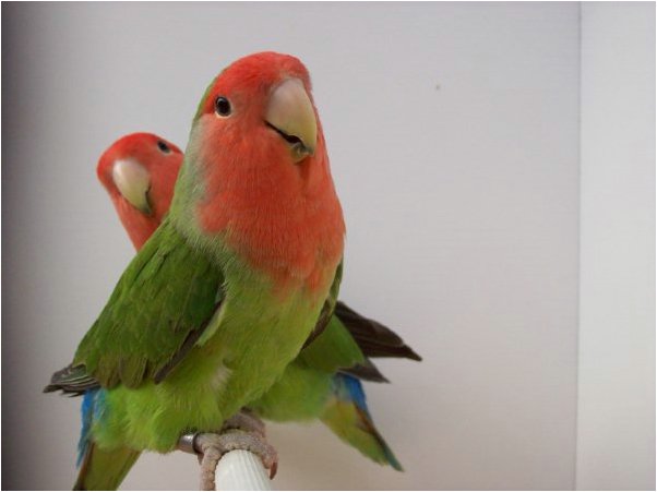 foto14.jpg