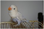 foto07.jpg