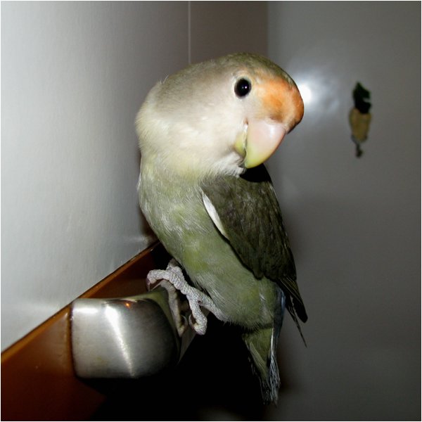 Foto 09.jpg