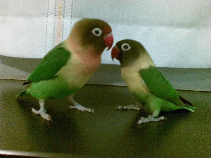 Foto 10.jpg