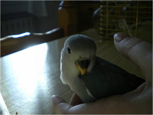 Foto 05.JPG