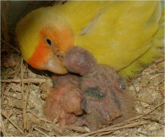 Foto 09.JPG