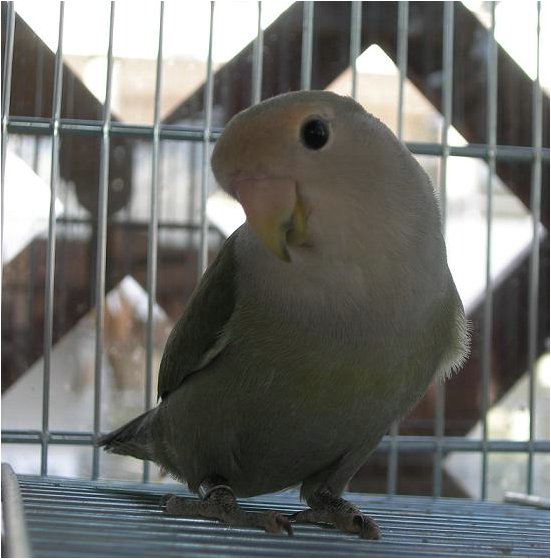 Foto 02.jpg