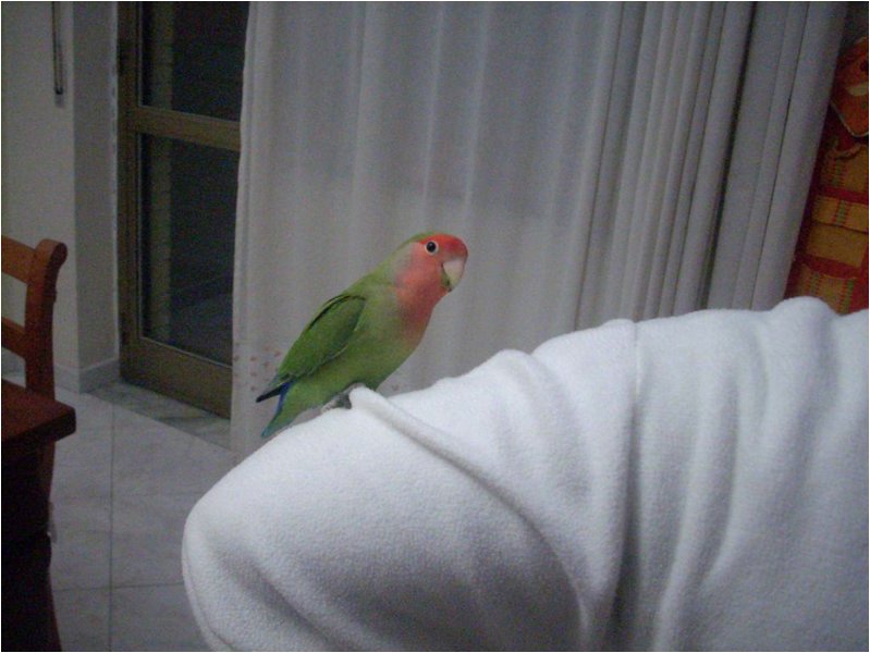 Foto 14.jpg