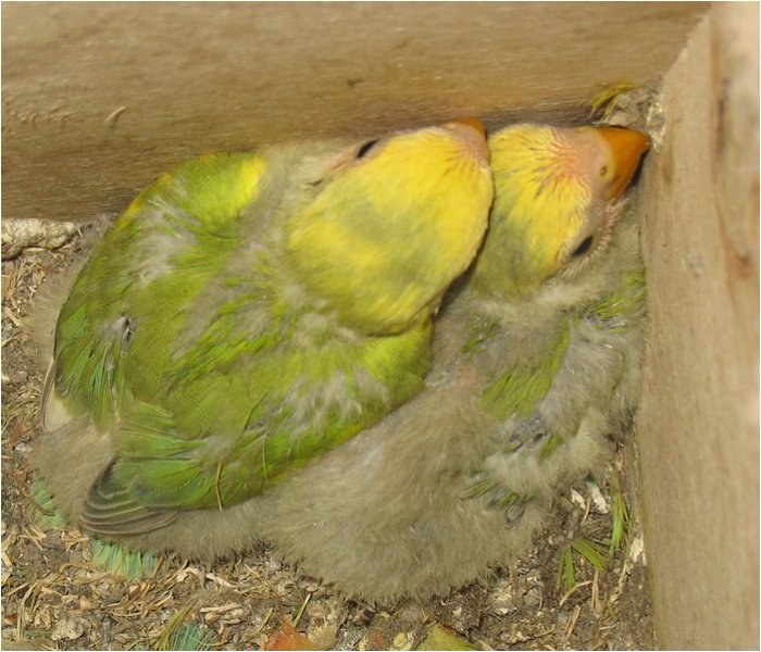 Foto 15.jpg
