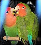 Foto 09.jpg