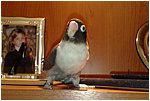 Foto 11.jpg