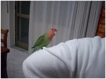 Foto 14.jpg