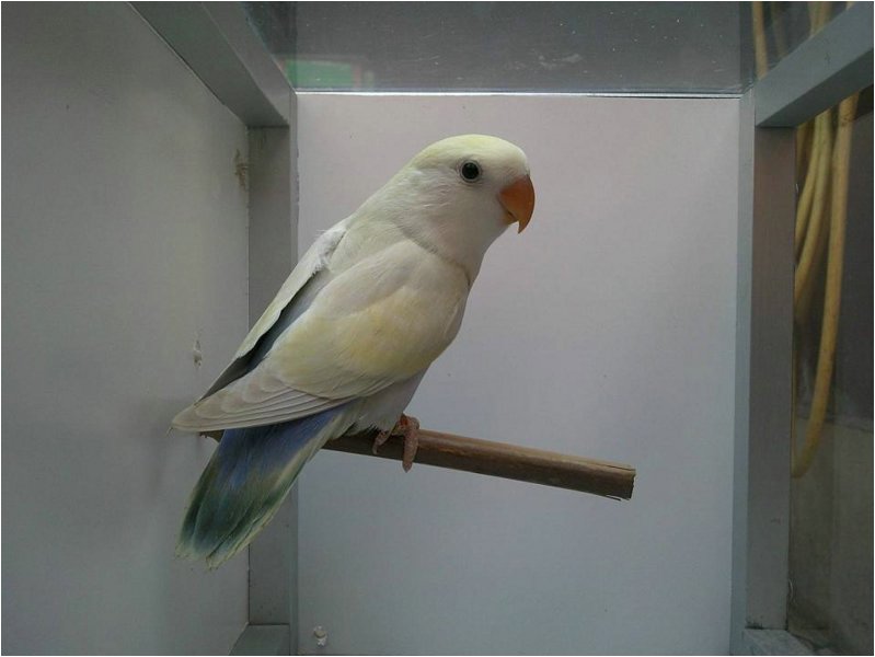 Foto 01.jpg