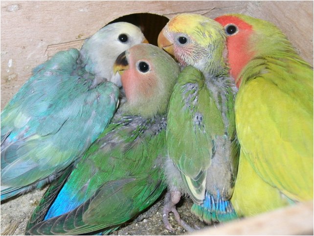 Foto 08.jpg
