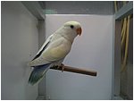 Foto 01.jpg