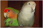 Foto 04.jpg
