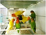 Foto 06.jpg