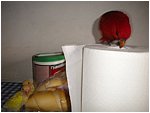 Foto 09.jpg