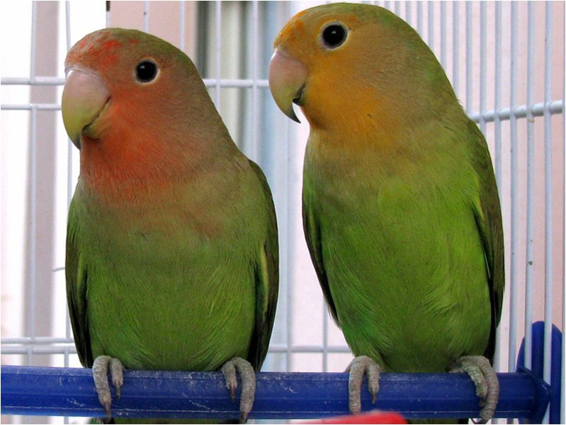 foto 08.jpg