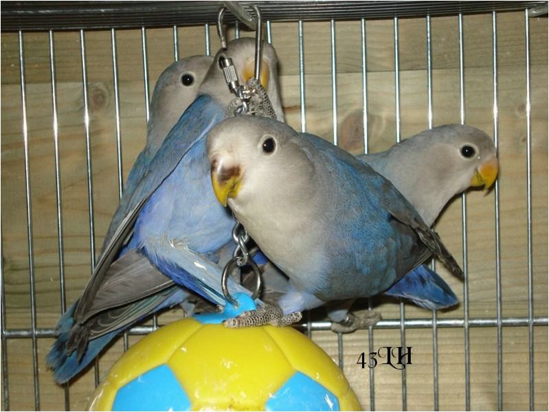 foto 11.jpg