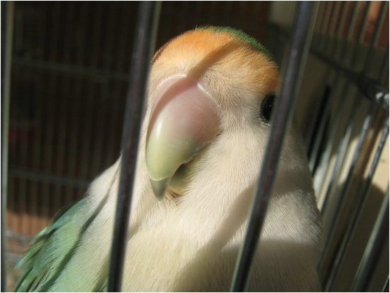 foto 15.jpg