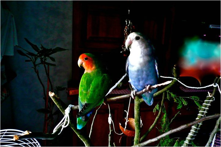 Foto 03.jpg