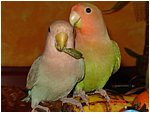Foto 01.jpg