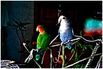 Foto 03.jpg