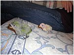 Foto 06.jpg