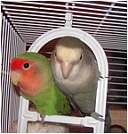 Foto 08.jpg