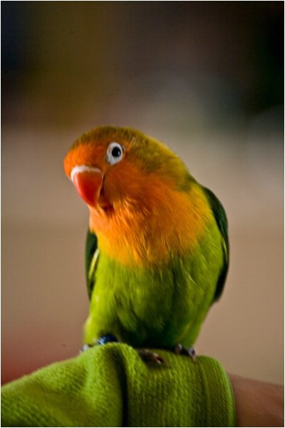 Foto 10.jpg