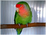 Foto 03.jpg