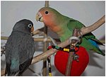 Foto 06.jpg