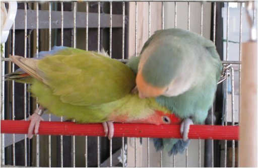 Foto 01.jpg