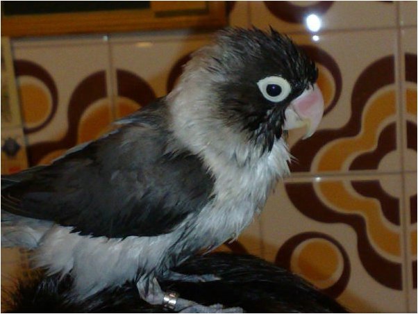 Foto 03.jpg