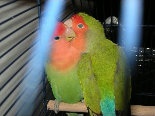 Foto 05.jpg