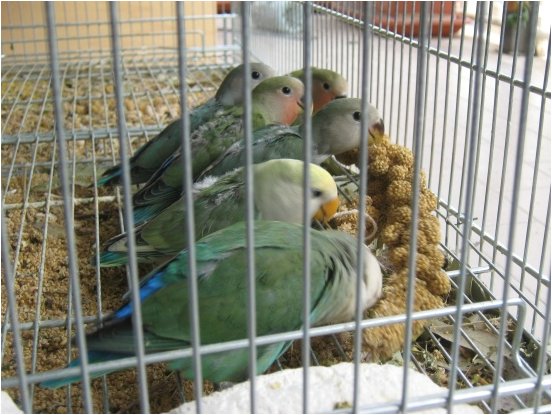 Foto 08.jpg