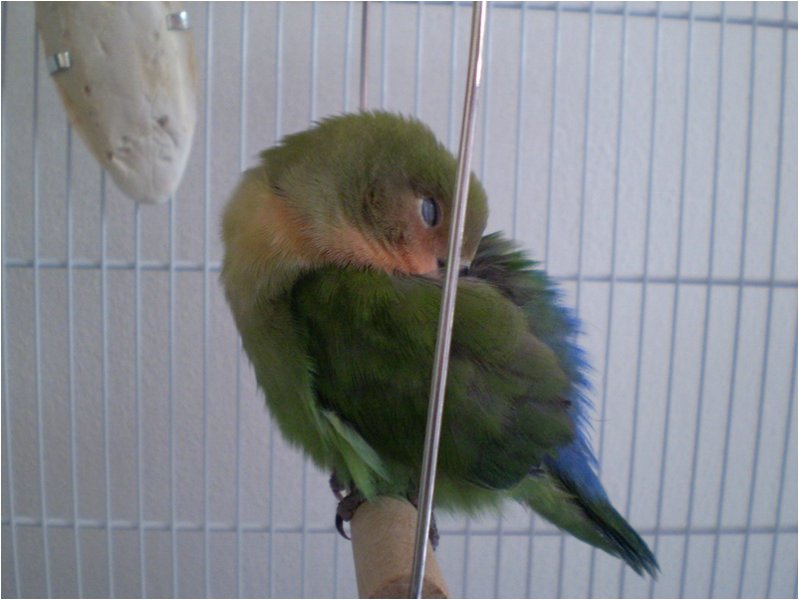 Foto 11.jpg