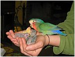 Foto 02.jpg