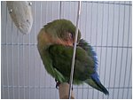 Foto 11.jpg