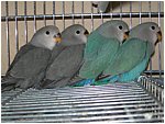 Foto 14.jpg