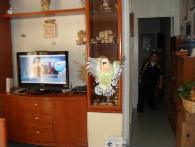 Foto 09.jpg