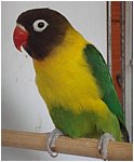 Foto 05.jpg