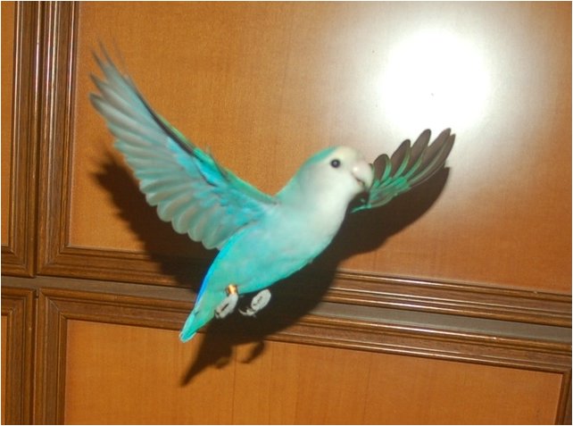 Foto 06.jpg
