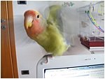 Foto 08.JPG