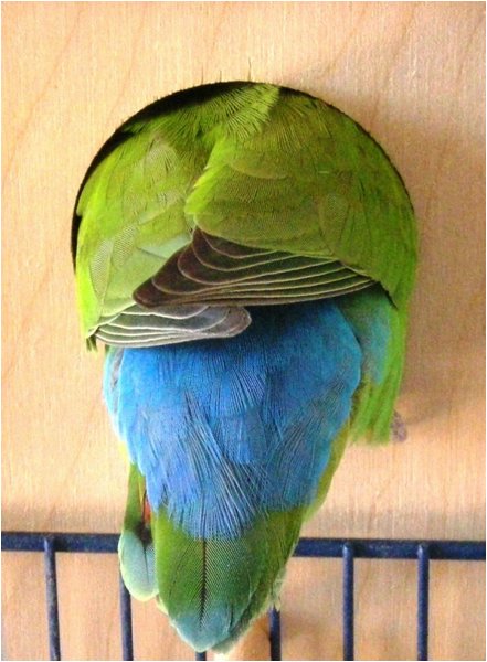 Foto 02.jpg