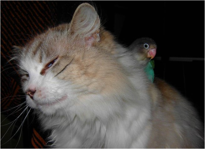 Foto 04.jpg