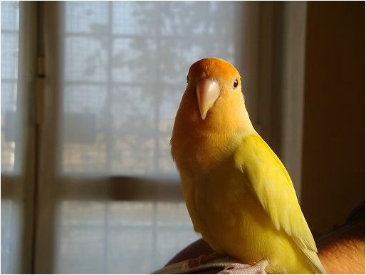 Foto 05.jpg