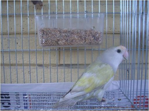 Foto 08.jpg