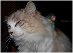 Foto 04.jpg